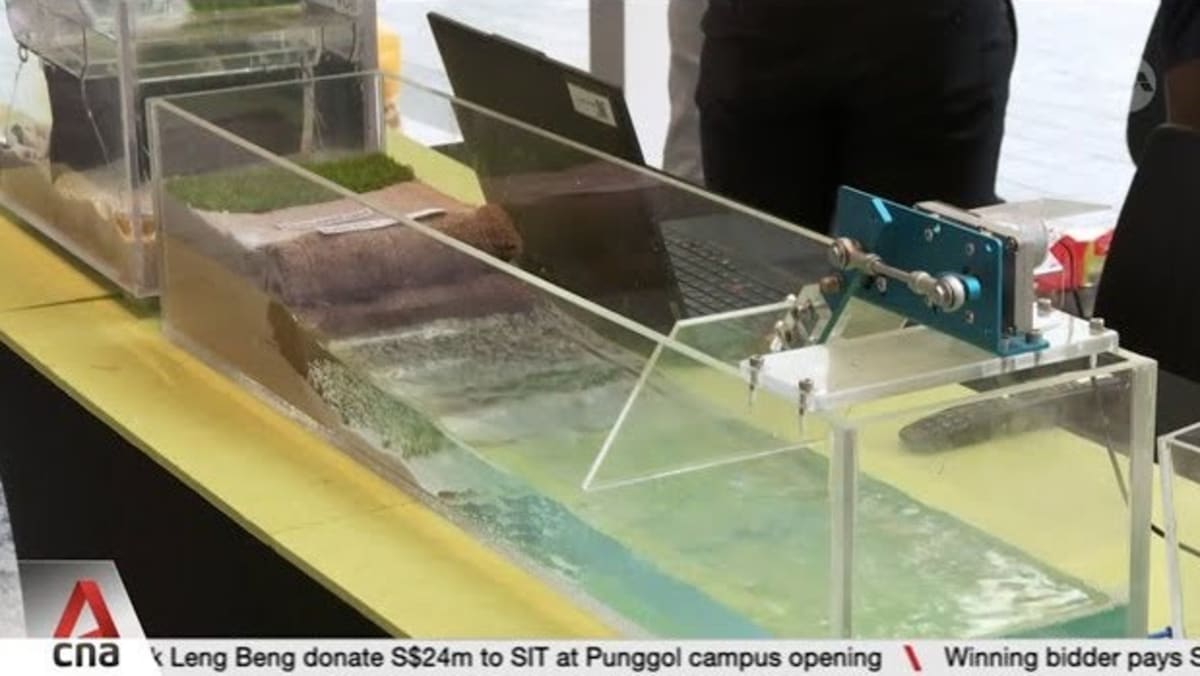 14 projects receive S$22m in grants to bolster coastal protection, flood management in Singapore