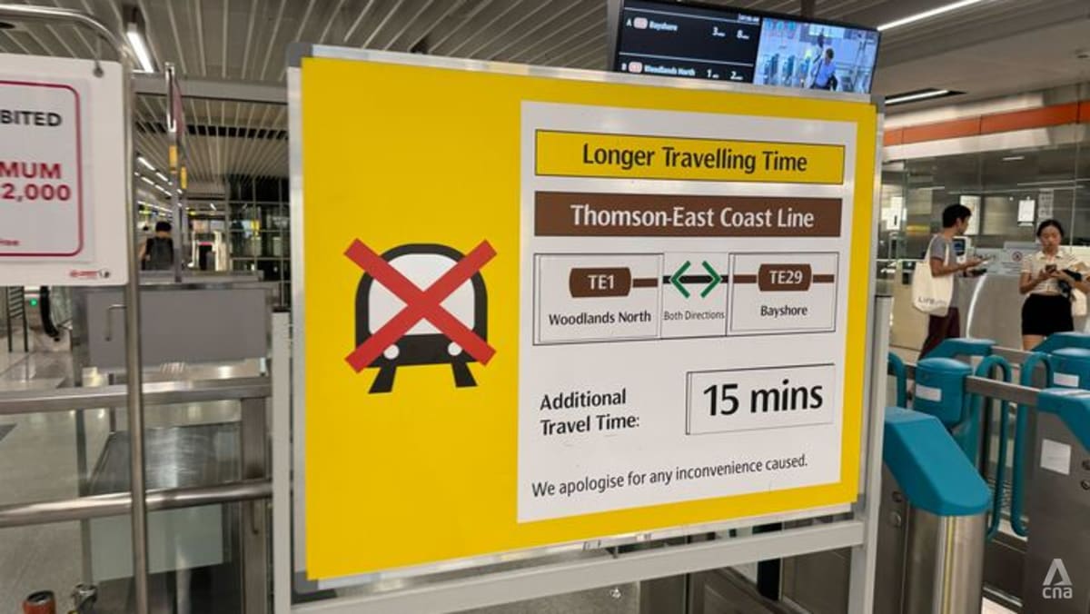 15-minute delay on Thomson-East Coast Line due to signal fault: SMRT