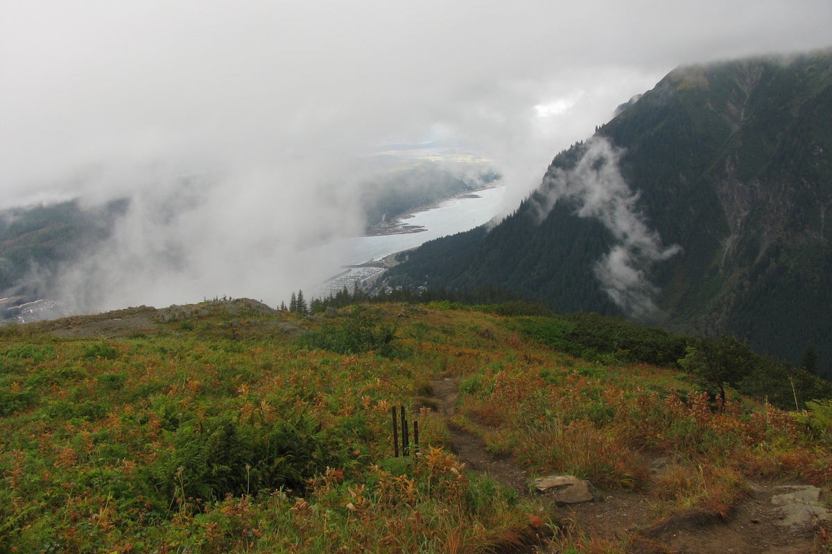 A Texas man on a cruise to Alaska is dead after falling from a trail during a hike, authorities say