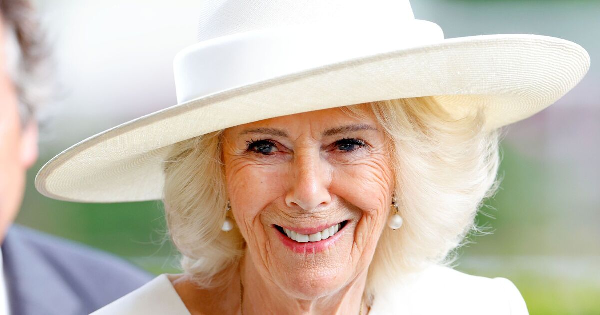 Acute sinusitis symptoms explained as Queen Camilla pulls out of major event