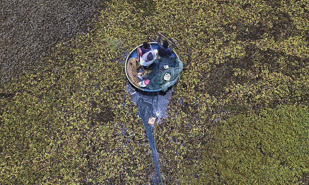 As climate risks grow, India's Bengaluru is trying to save its...