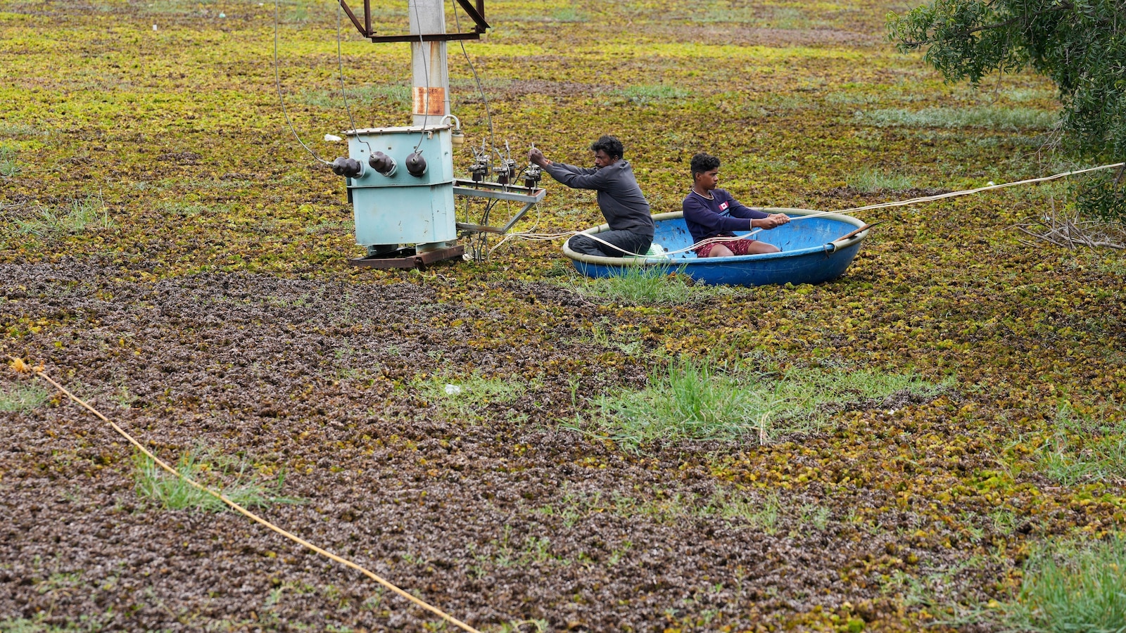 As climate risks grow, India's Bengaluru is trying to save its vanishing lakes
