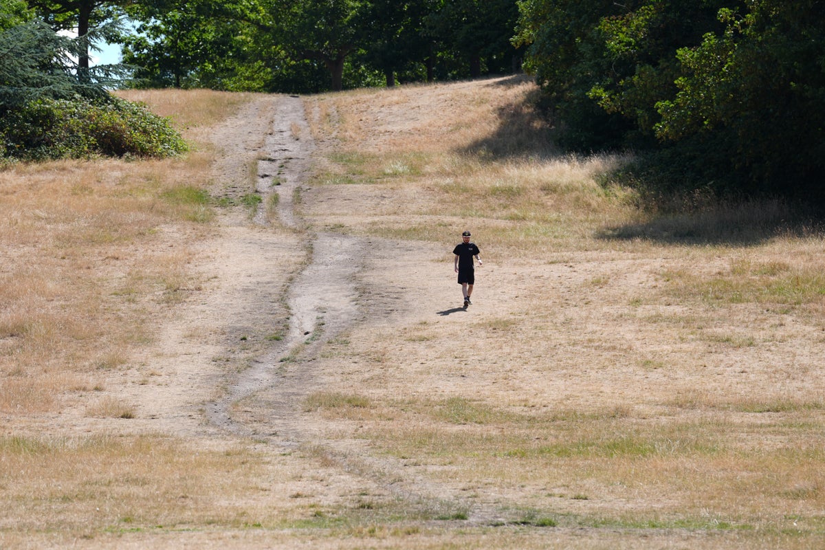 At least 1,147 died from climate-driven heat in UK this summer, scientists find