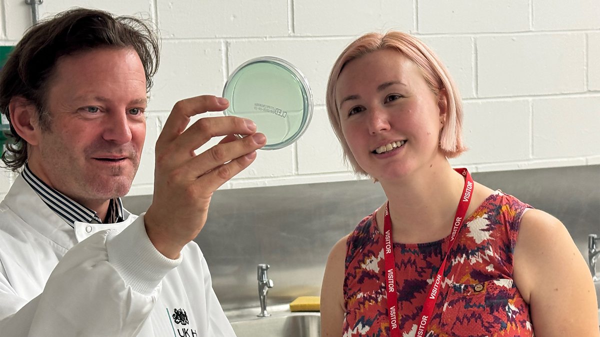 BBC World Service - The Documentary Podcast, The social lives of bacteria