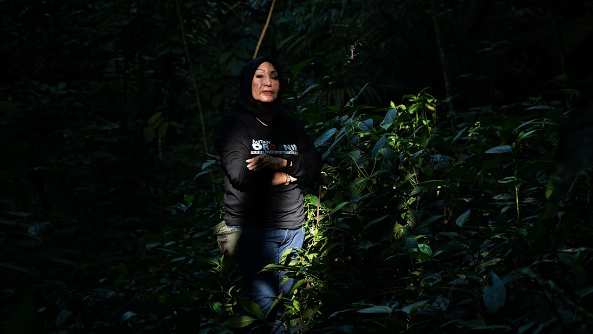 'Be a tiger' - a woman's fight to turn barren land into lush forest in Indonesia