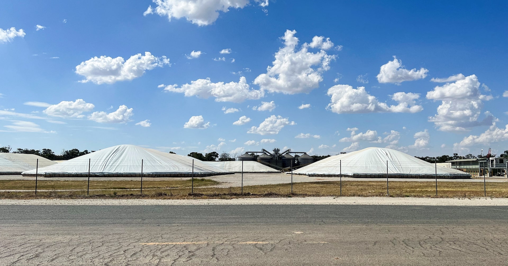 Beetle that threatens Australia's grains industry found in imported nappies