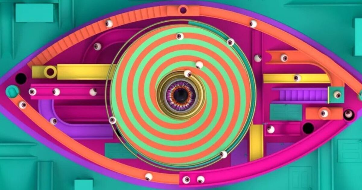 Big Brother star rushed to hospital and 'hooked to IV drip' in alarming snap