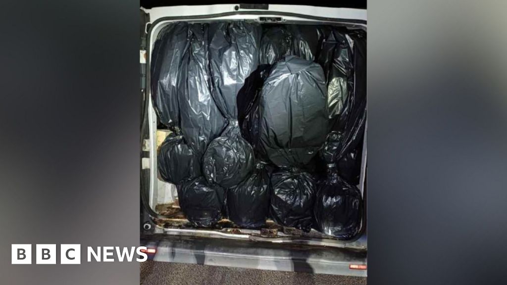 Bin bags of cannabis found in van seized by police in Nottingham