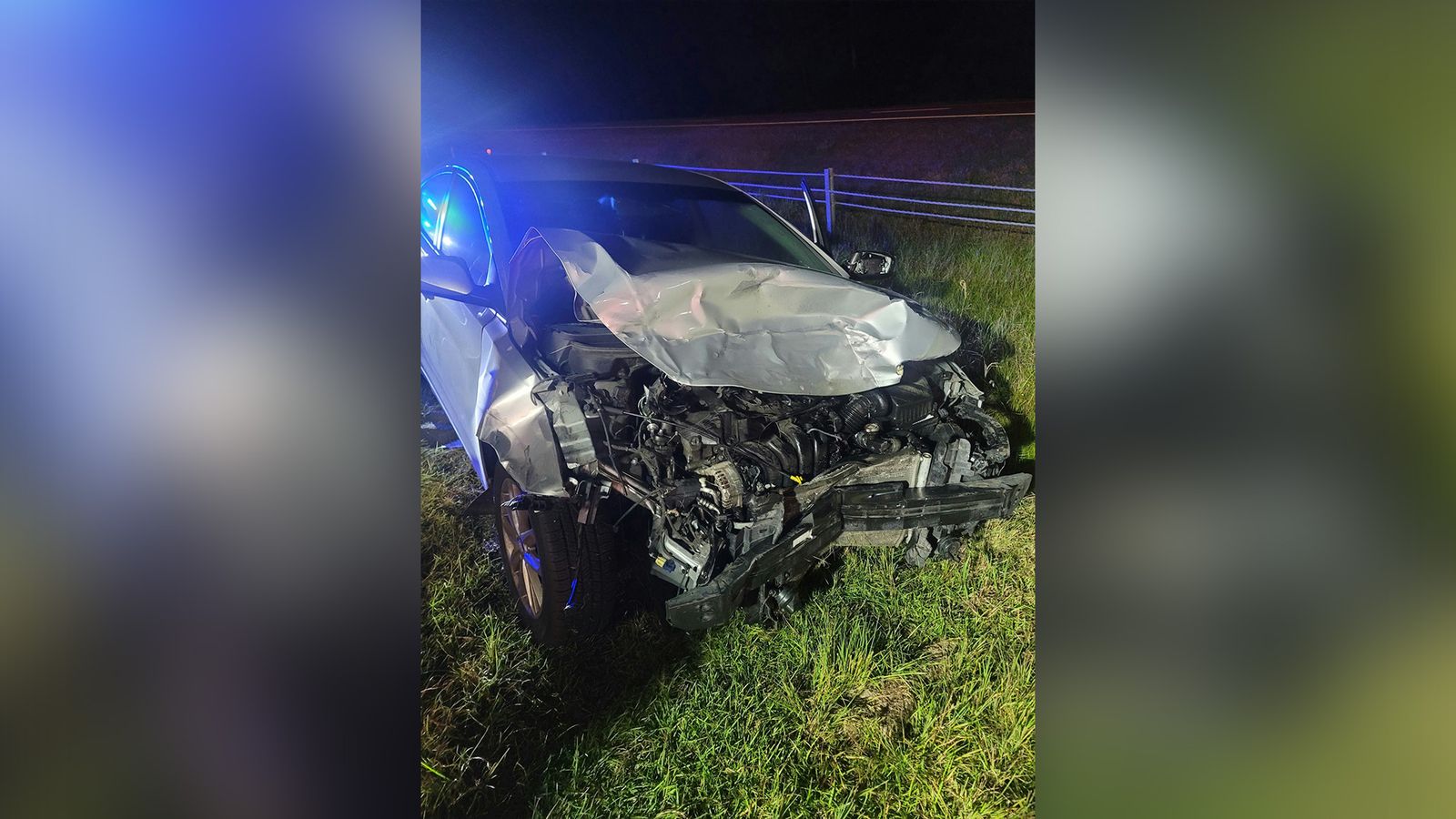 Black bear killed in Princeville crash