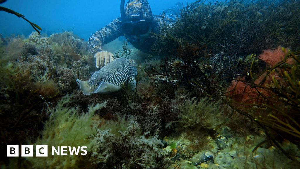 Bognor fishing campaigners back South East bottom trawling bans