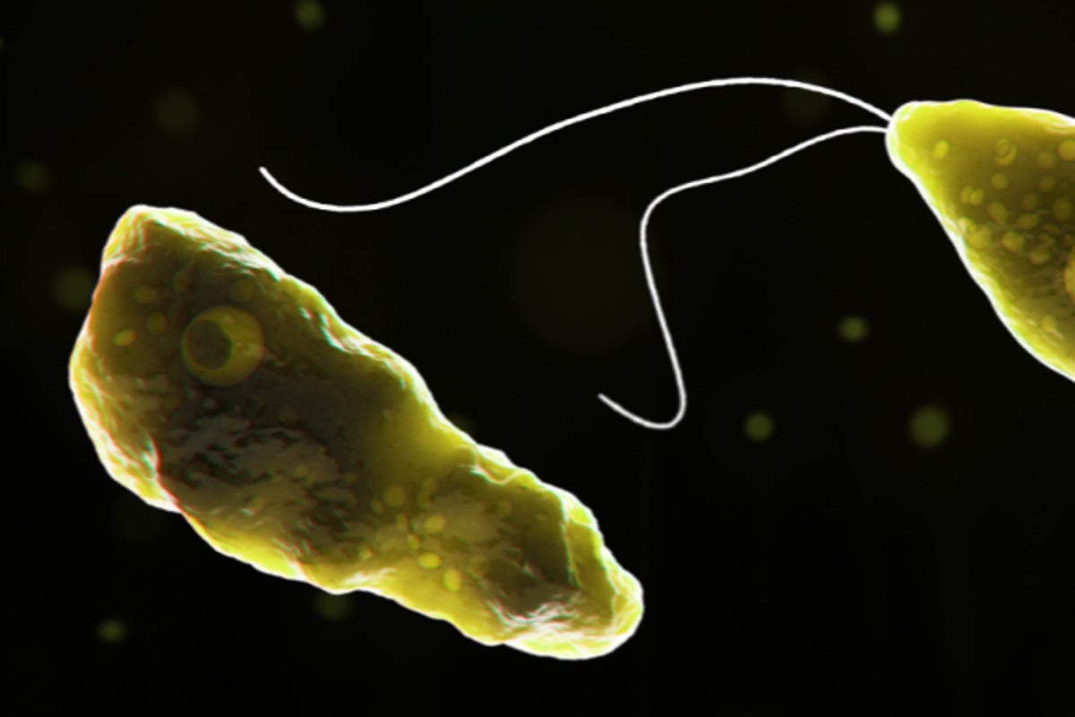 'Brain-eating amoeba' kills 19 people in India's Kerala