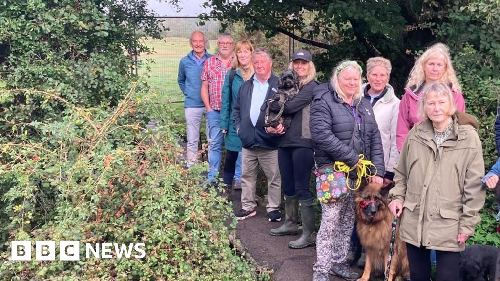 Brockenhurst bridge campaign will continue, pledge residents