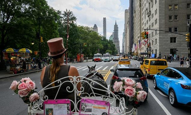 Central Park horse-drawn carriages face ride into the sunset