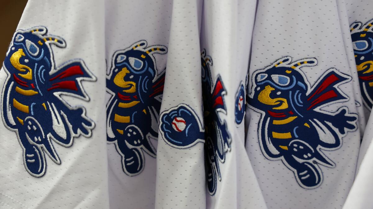 Commentary: How the Dodgers' new minor league team in Ontario came up with its name