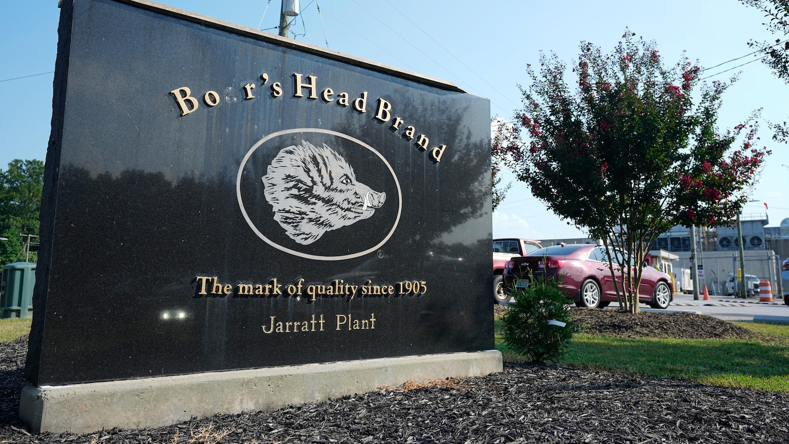 Congress asks if Boar's Head deli meat plant tied to outbreak will be fit to reopen