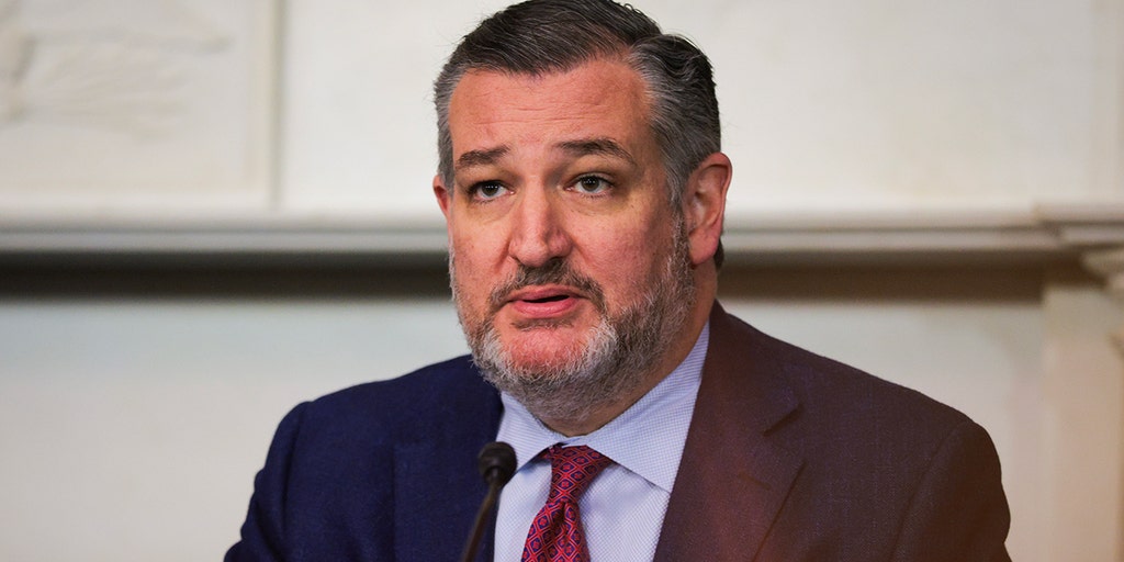 Cruz slams UN's Israel 'genocide' charge, pushes for consequences