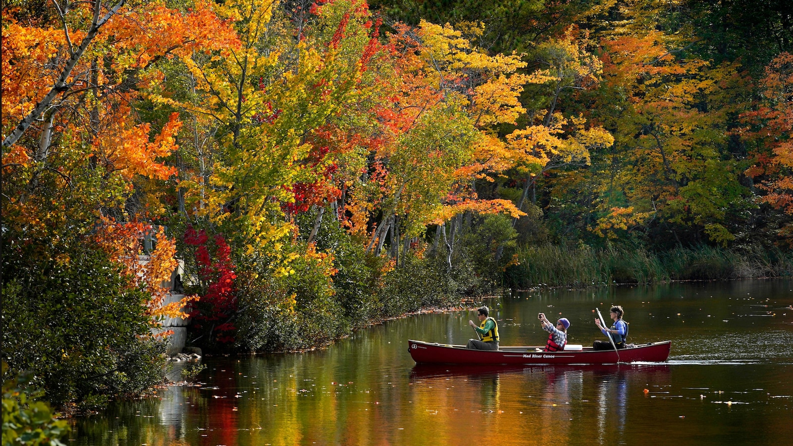 Day and night get equal billing Monday as fall equinox arrives. Here's what to know