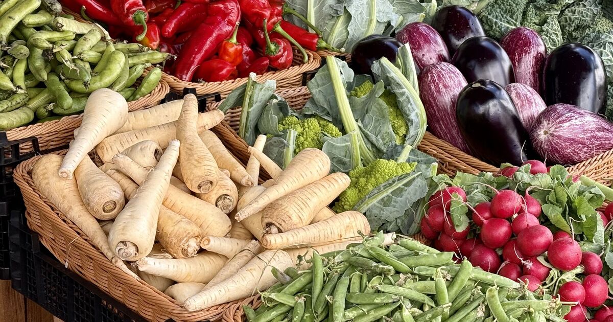 Doctor shares the 1 vegetable that lowers cholesterol and helps lose weight