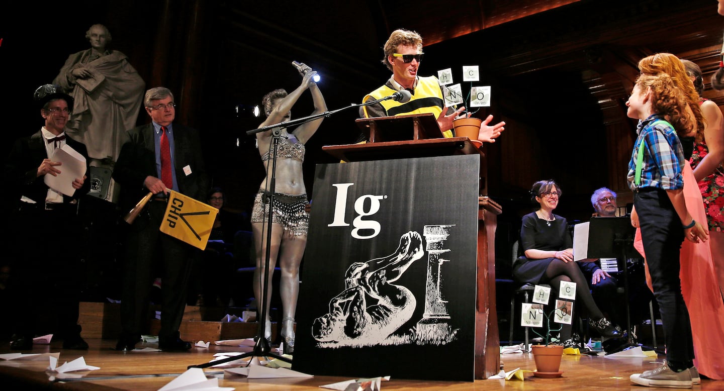 Does painting cows with stripes prevent fly bites? Researchers who studied this wins Ig Nobel prize - The Boston Globe