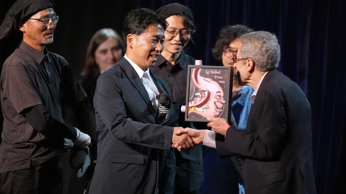 Does painting cows with stripes prevent fly bites? Researchers who studied this win Ig Nobel prize