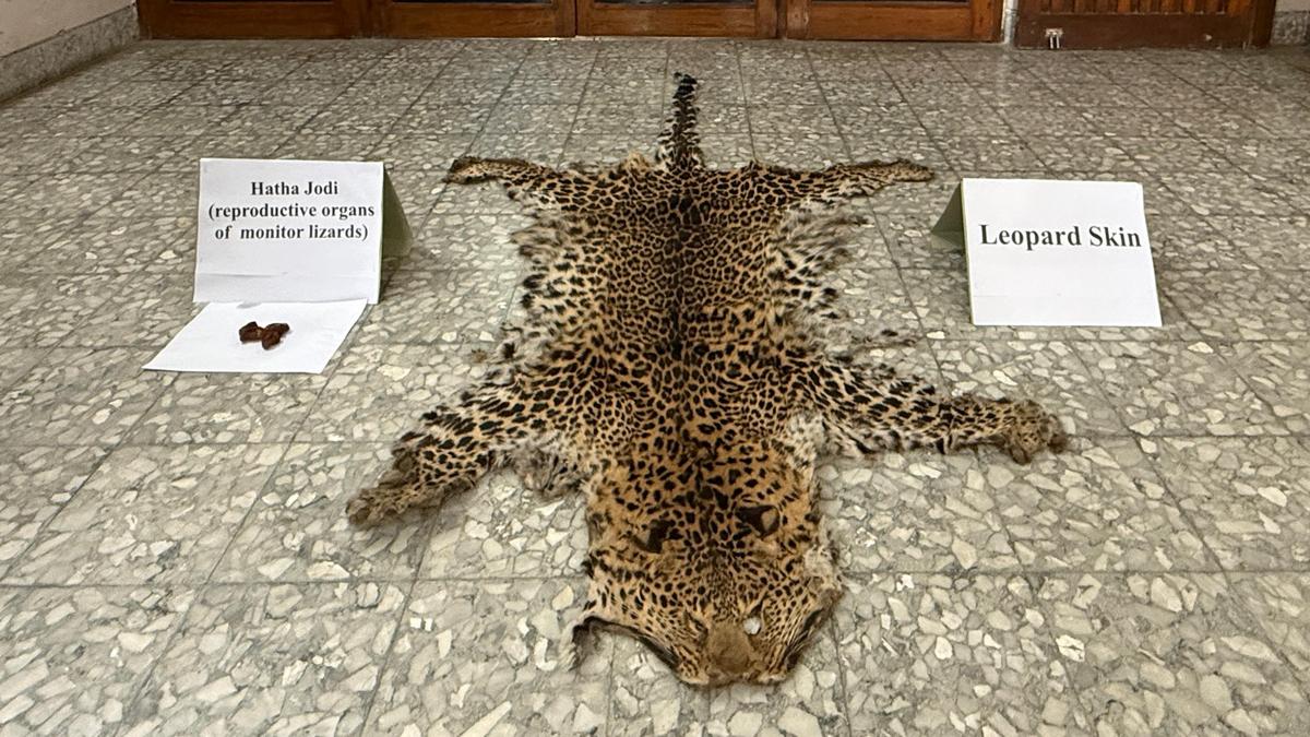 DRI Patna apprehends two suspects involved in wildlife trafficking