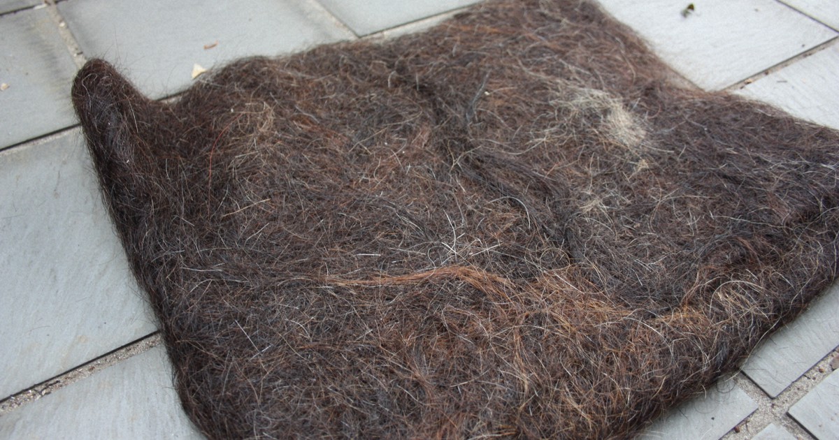 Eco-friendly mats made of waste hair tested to grow soybeans in Japan