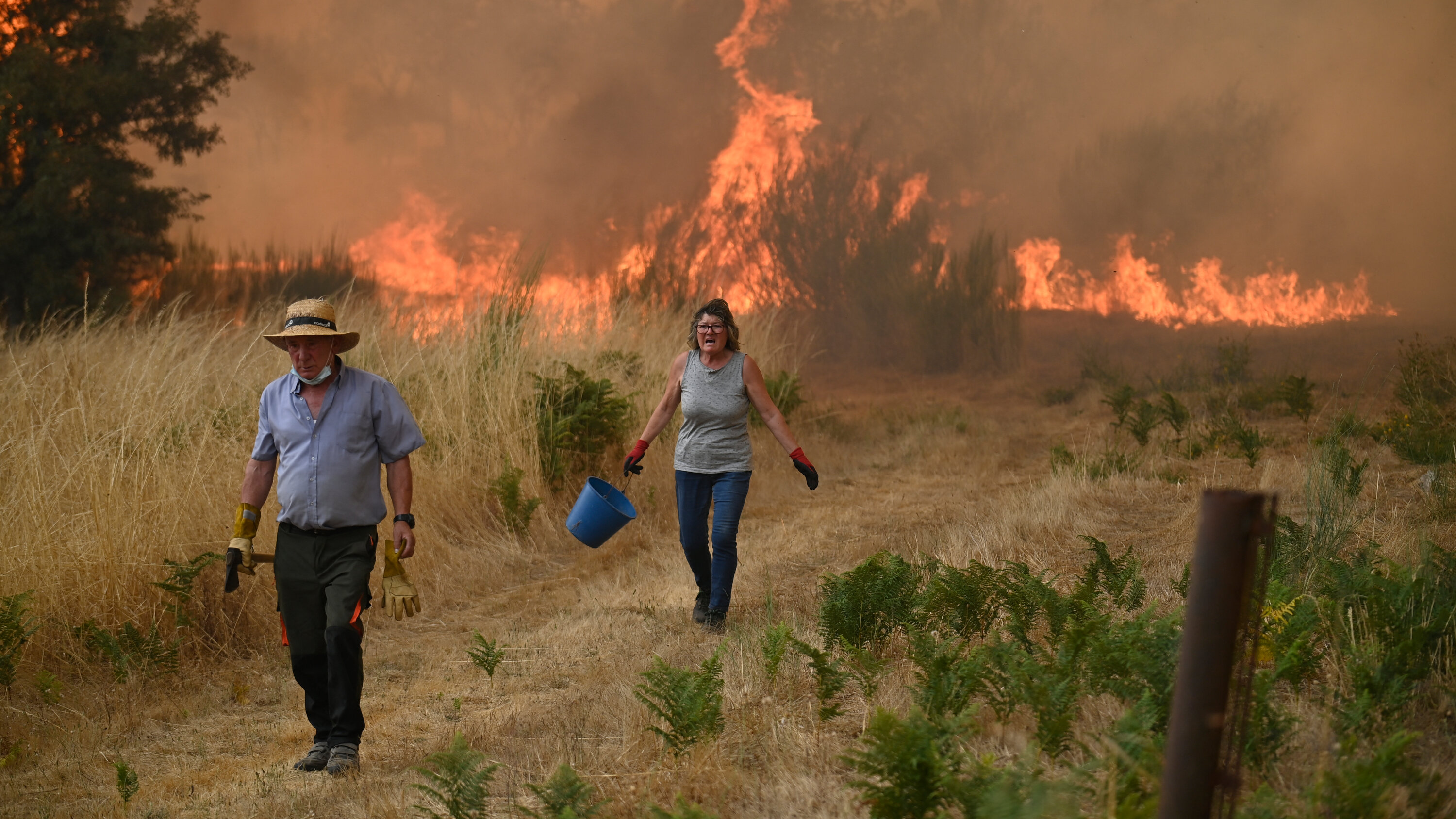 Europe's Extreme Summer Weather Could Cost It Billions