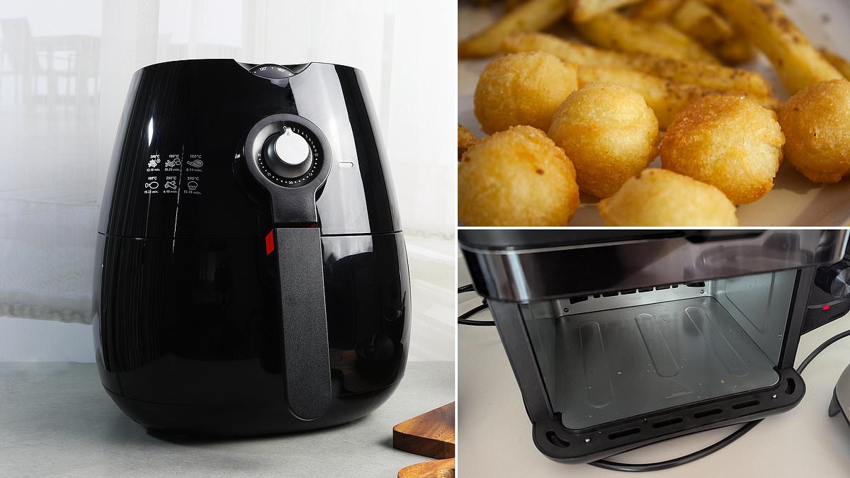 Expert reveals why your air fryer is so noisy and the hacks to stop it