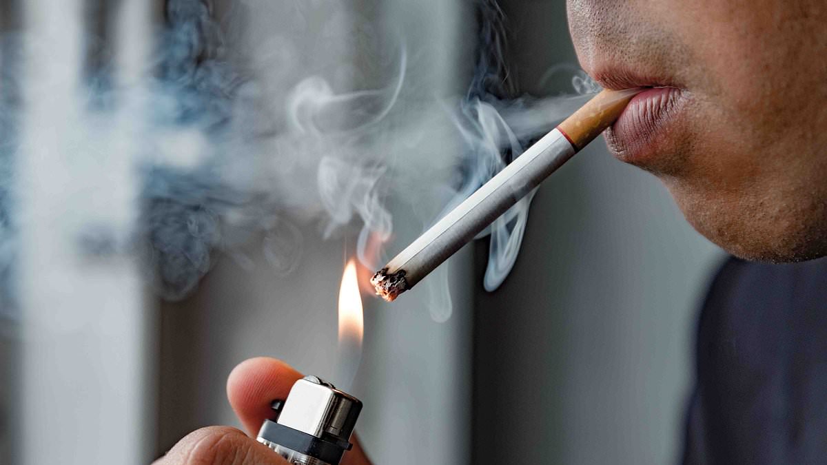 Experts pinpoint how many people die per year from filthy habit...