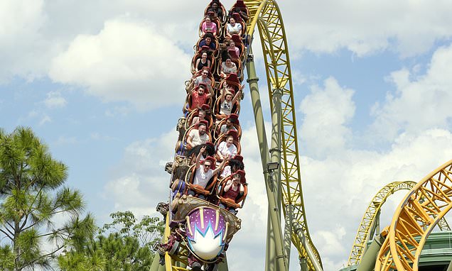 Family says a man who died after going on a Universal roller...