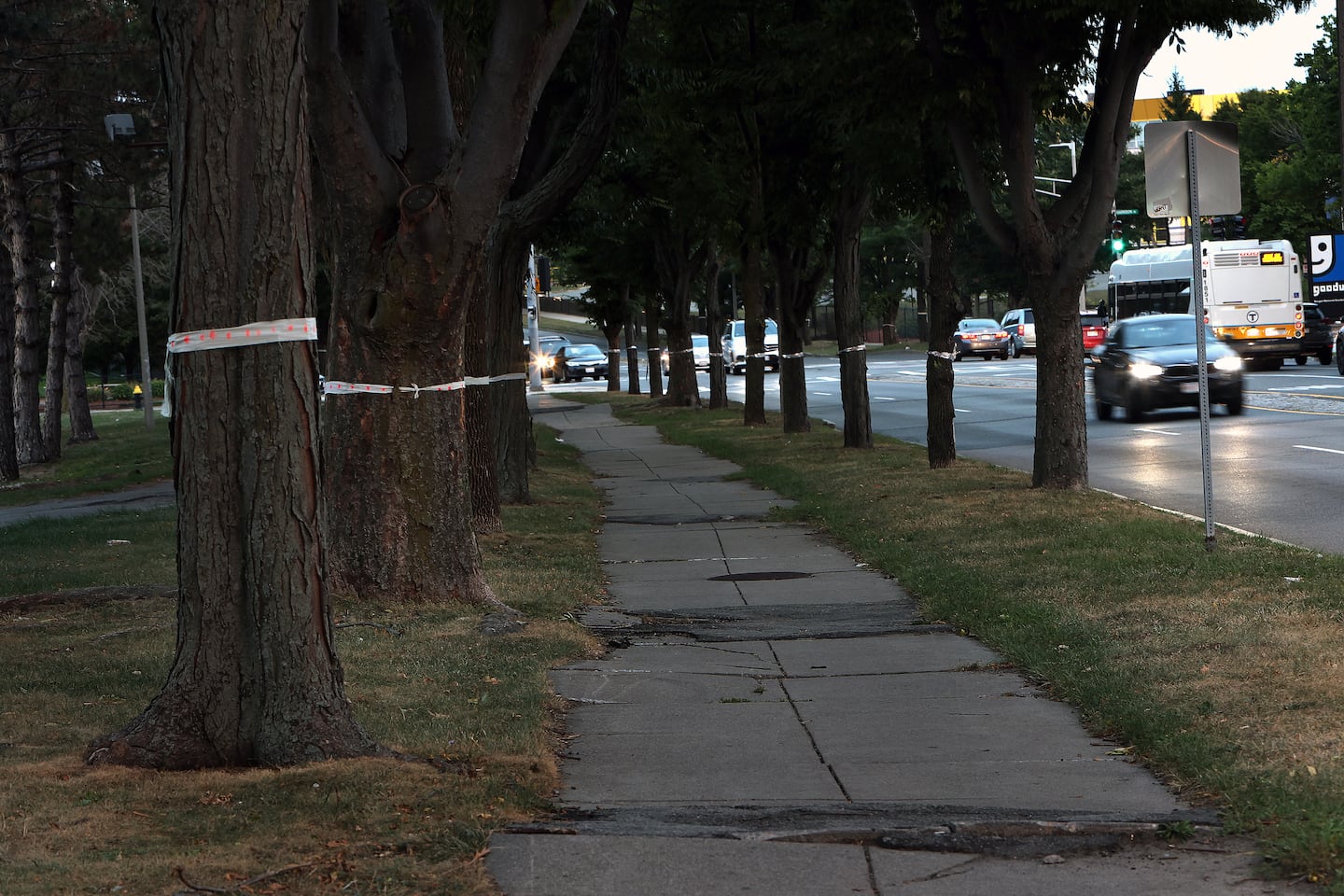 Federal government pulls $22 million in grants for projects in Roxbury and Mattapan - The Boston Globe