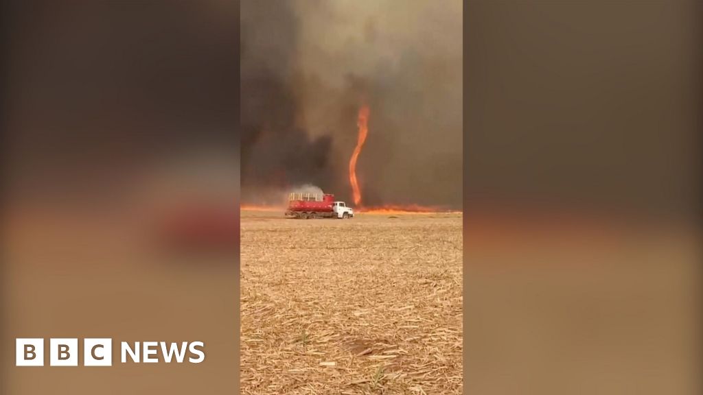 'Firenado' forms as flames tear through sugarcane field in São Paulo