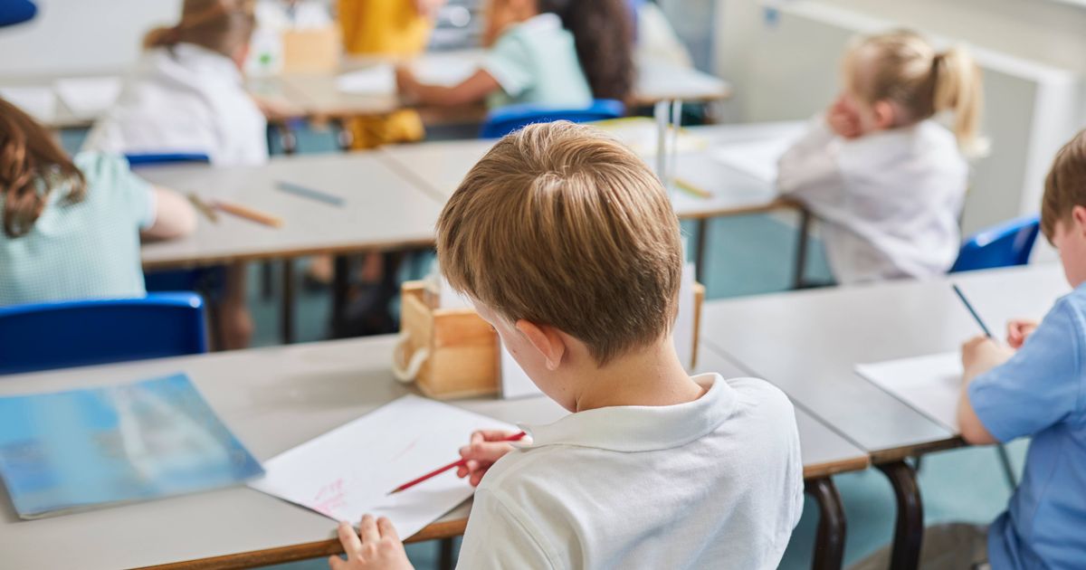 Five reasons why kids can legally miss school during term time - The Mirror