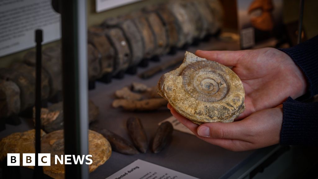 Fossils discovered during HS2 works go on display in Oxford