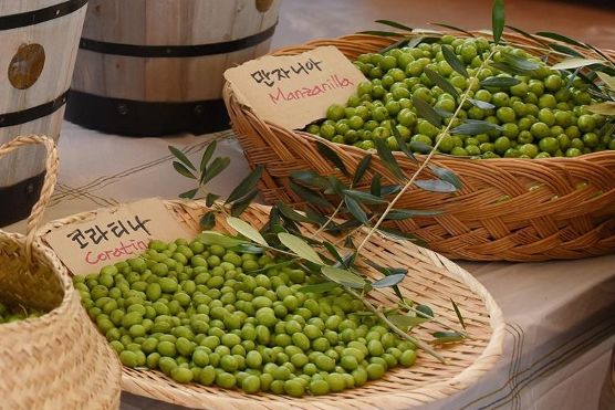 From tangerines to olives: How climate change is reshaping Jeju agriculture - The Korea Times