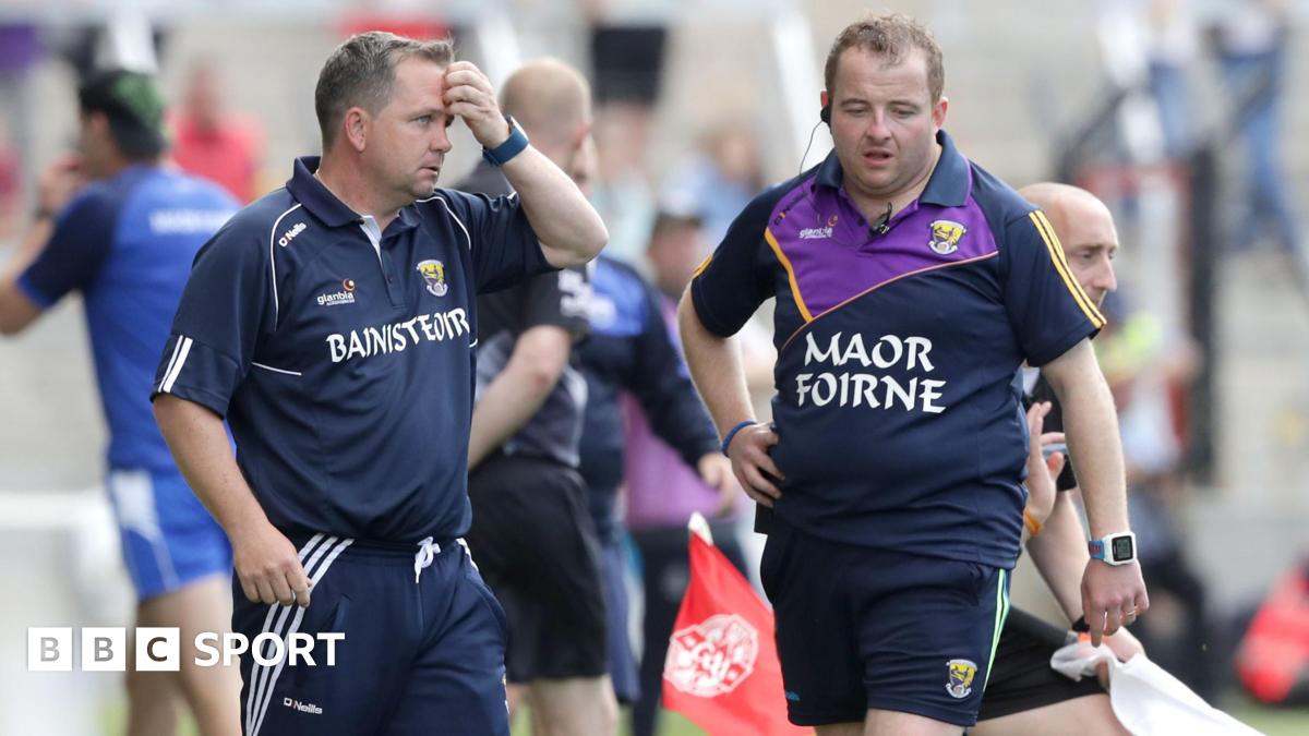 Gaelic Games: Davy Fitzgerald brings Seoirse Bulfin in as Antrim coach