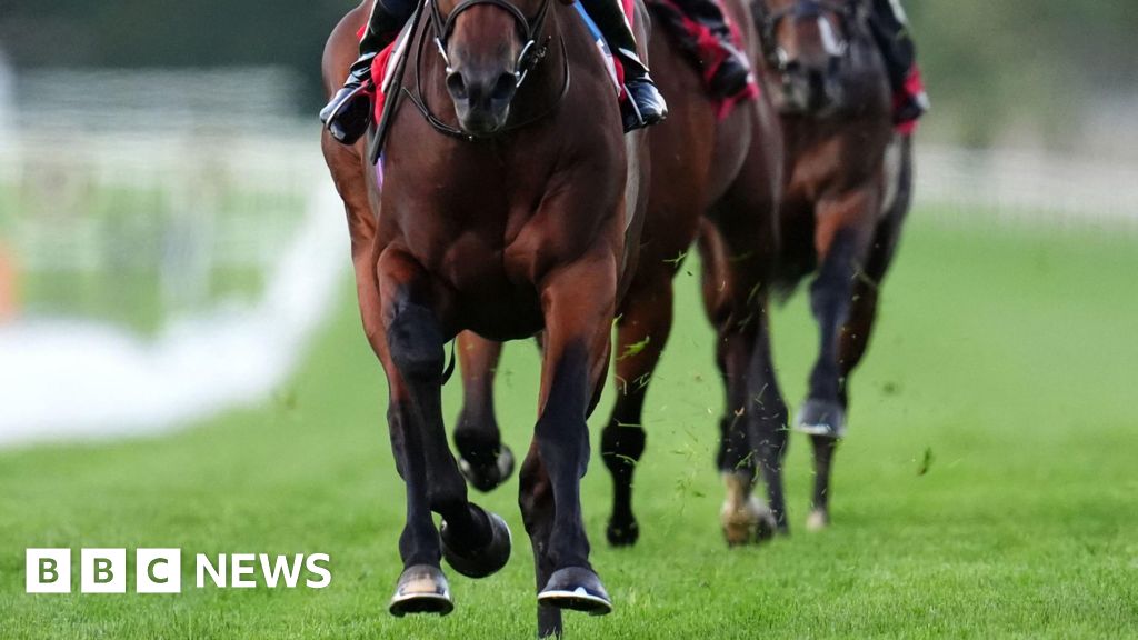 Gang posed as detectives to con horse racing scam victims