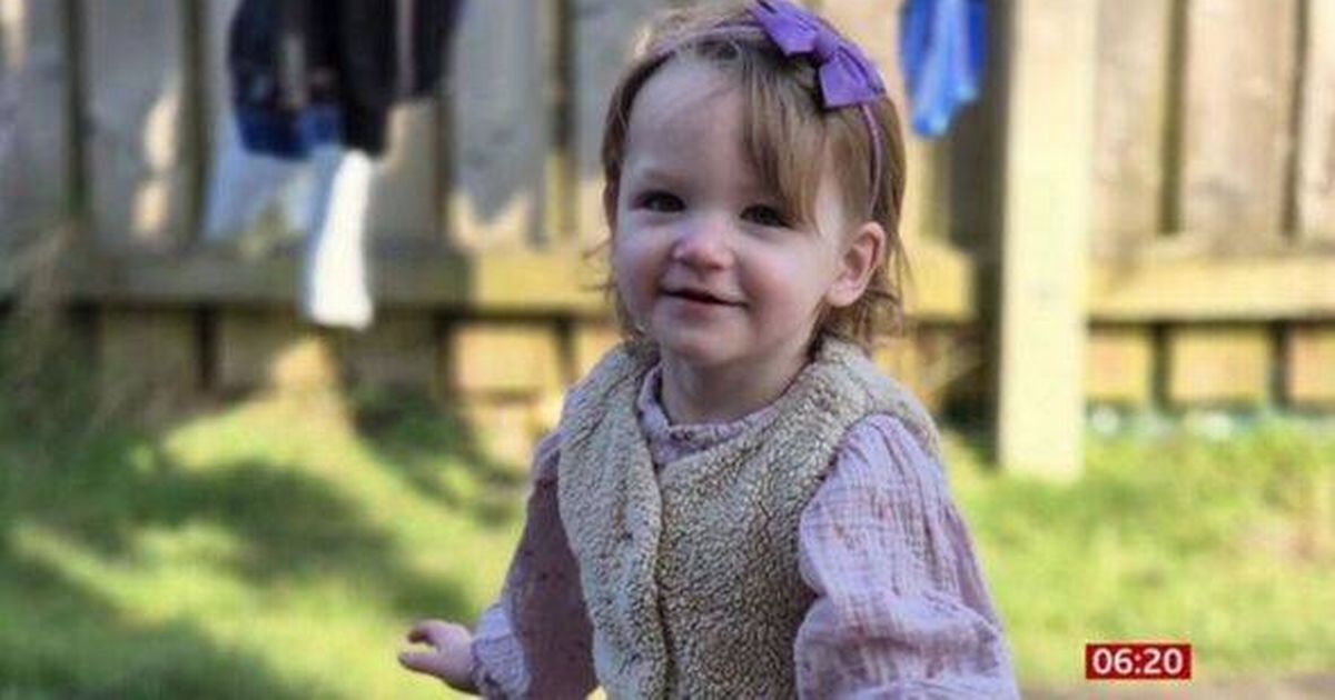 Grieving parents break down on BBC Breakfast after toddler's heartbreaking death - The Mirror