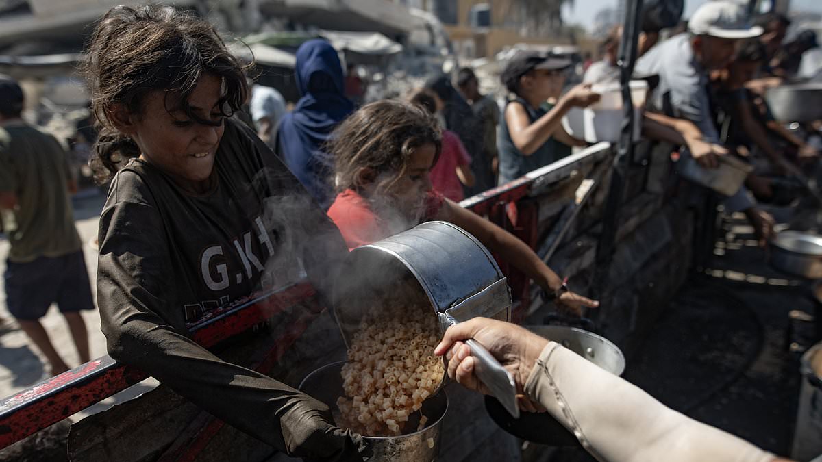Group of 10 critically-ill Gaza children flown into UK for treatment