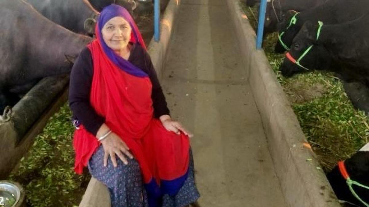 Gujarat woman earns ₹1.94 crore from milk sales, aims for 3 crore