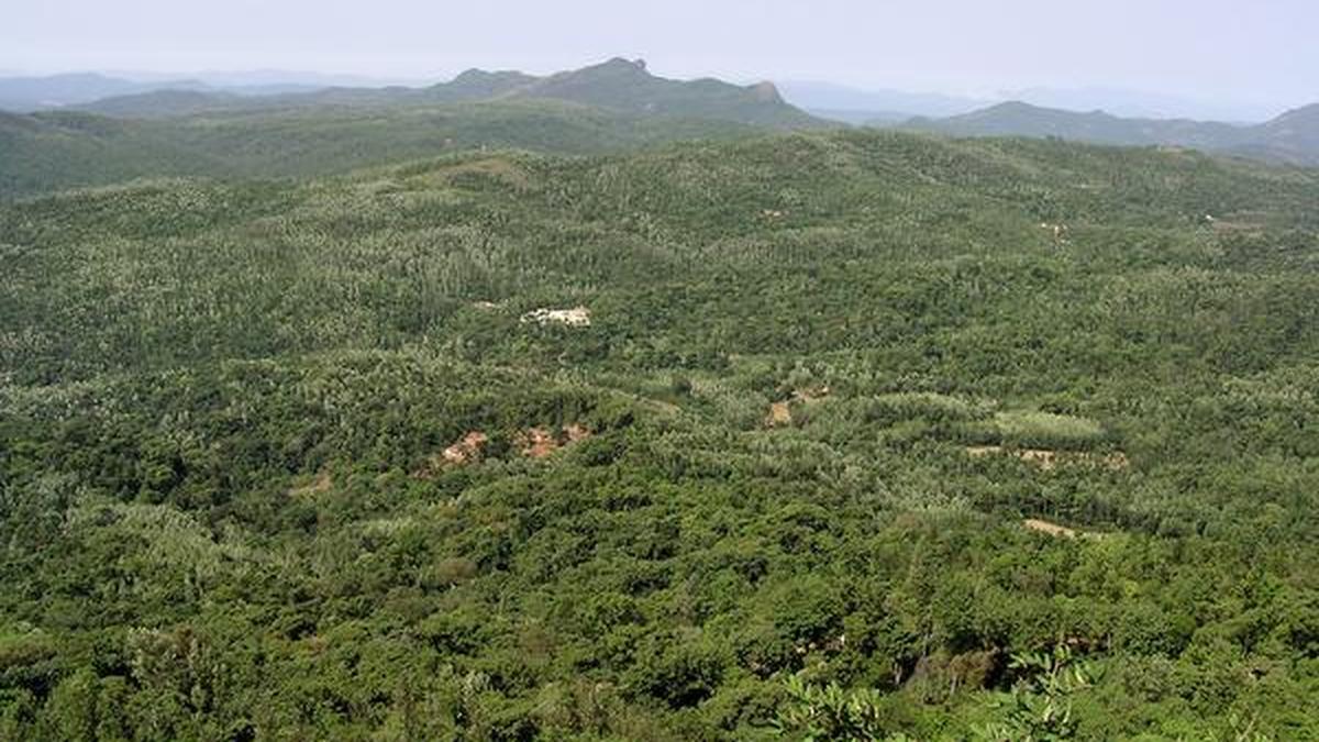 In Focus Podcast | 20 Years of Forest Rights Act: Can it work without a tribal policy?