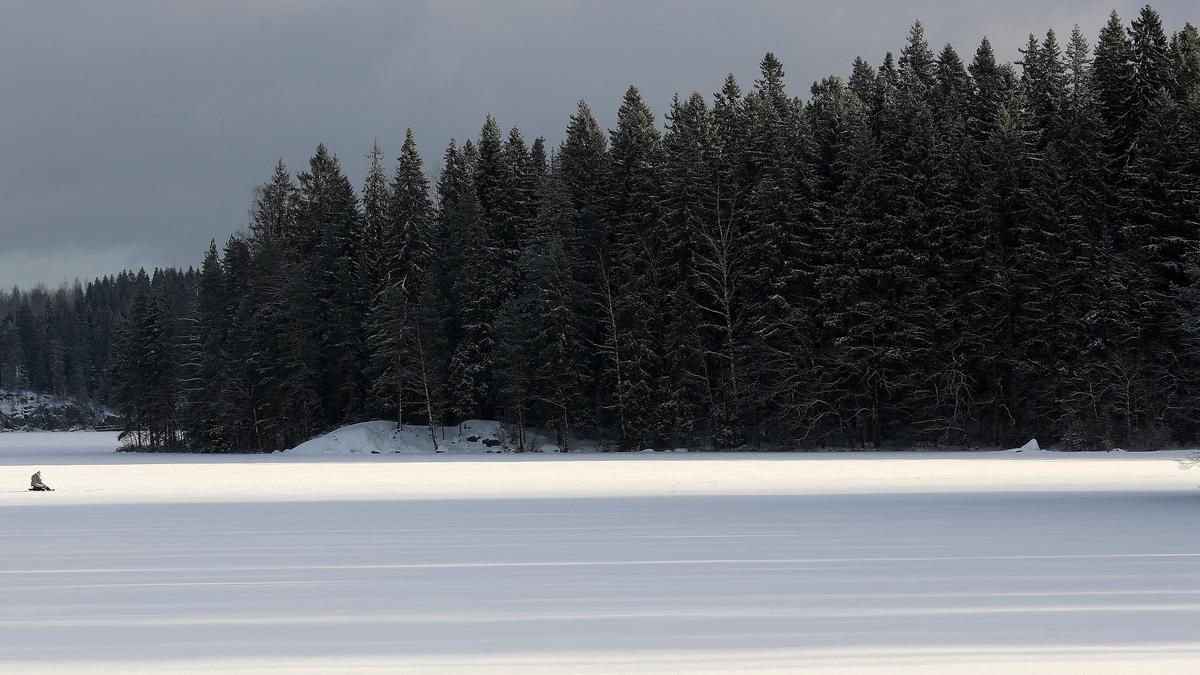 In Nordic dispute over EU forest targets, echoes of Greece's crisis