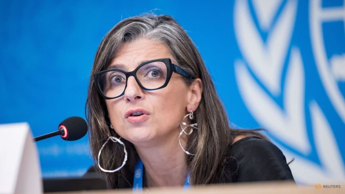 Israel seeks to make Gaza City unliveable, says UN expert Francesca Albanese