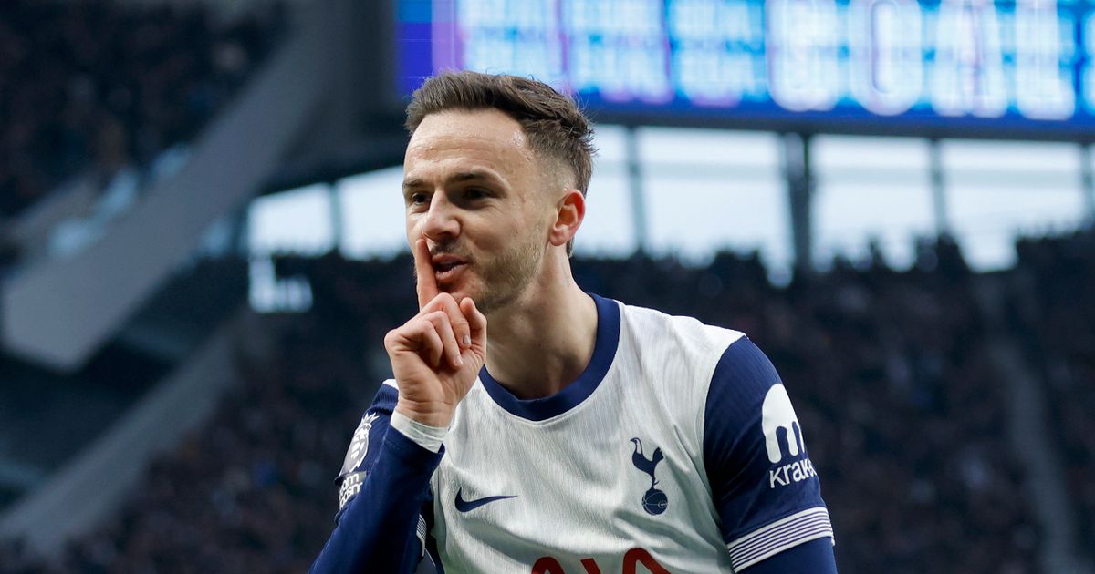 James Maddison has last laugh at Man Utd with Tottenham Champions League brag - The Mirror