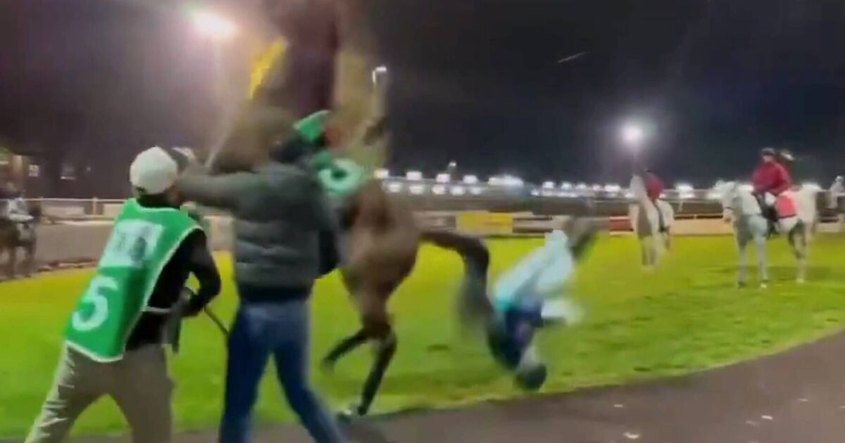 Jockey headbutted by horse in terrifying incident as health update released