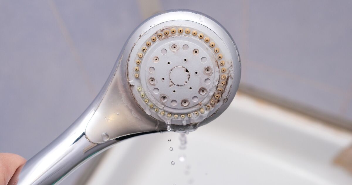 Limescale will disappear from showerheads when scrubbed with 2 natural items
