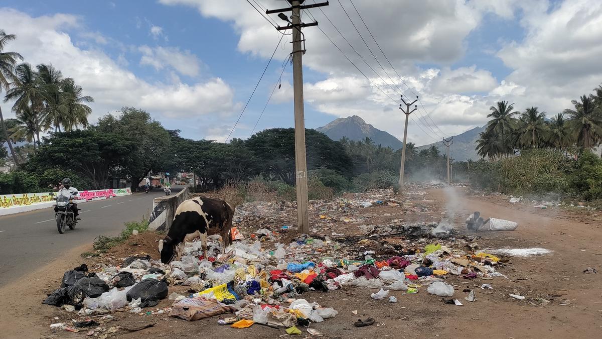Locals decry dumping and burning of waste by village panchayats along Sanganoor Canal in Coimbatore