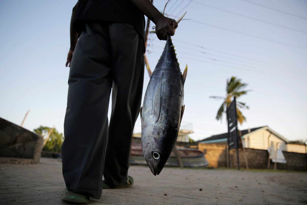 Long-wrought WTO global agreement aimed at reducing overfishing takes effect