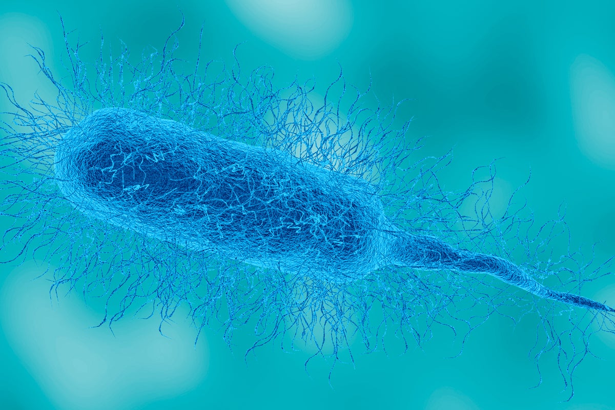 Louisiana patient dies from flesh-eating bacteria as US sees dozens of cases