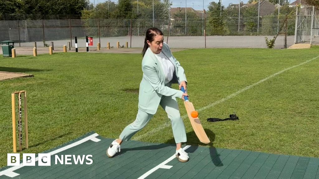 Luton cricketers 'excited' by dome plan but want access to it